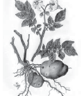 03004bye-780d-683x806.png
