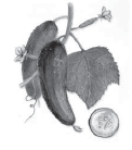 03004byn-dda4-658x744.png