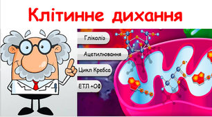 Презентація на тему "Клітинне дихання "