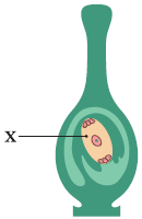 03004c6w-7474-659x1014.png