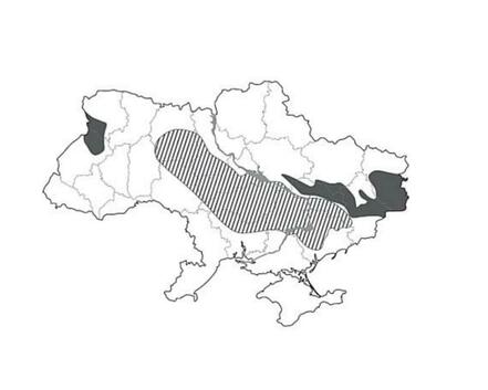 03004cxd-3080-441x353.jpg