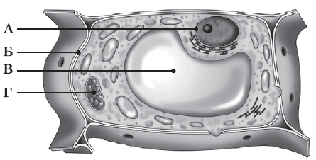 03004d79-fd4e-655x333.png