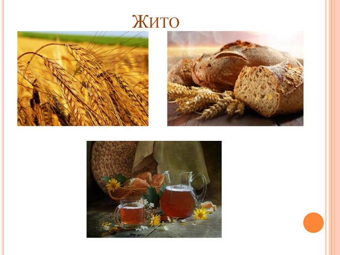 Жито