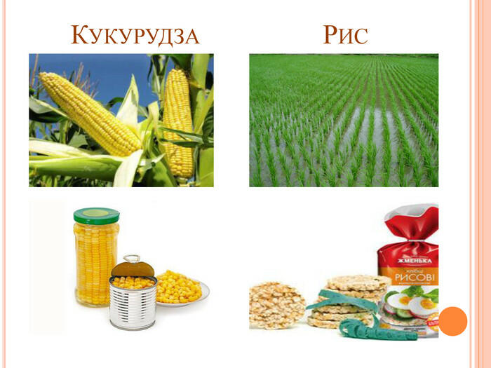 Кукурудза Рис