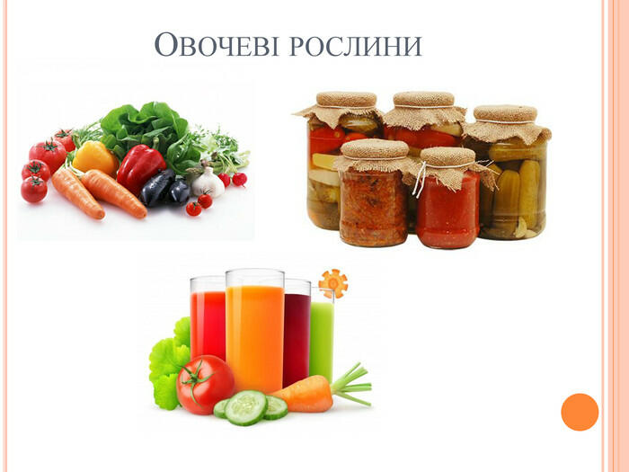 Овочеві рослини