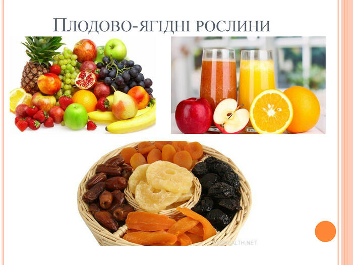 Плодово-ягідні рослини