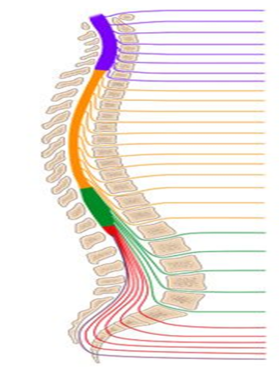 03004evf-6973-279x367.png