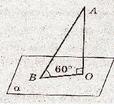 03004f77-1a98-114x105.jpg