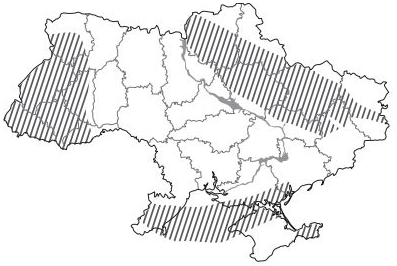 03004hgj-e2e6-397x266.png