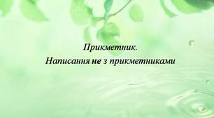 Прикметник. Написання не з прикметниками