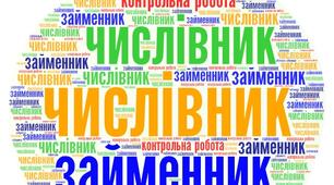 Діагностувальна робота з тем " Числівник" і "Займенник"
