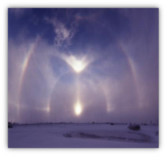 03004lmd-7368-233x219.png