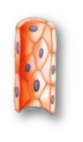 03004ovg-a291-278x478.png
