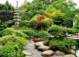 03004qqx-d096-272x197.jpg