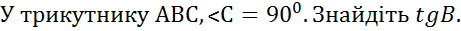 03004vby-4141-461x31.png