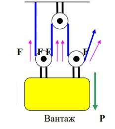 03004xno-13dc-232x260.jpg