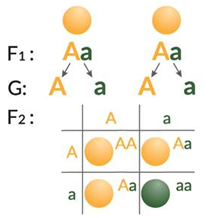 03004z7x-863b-209x218.png