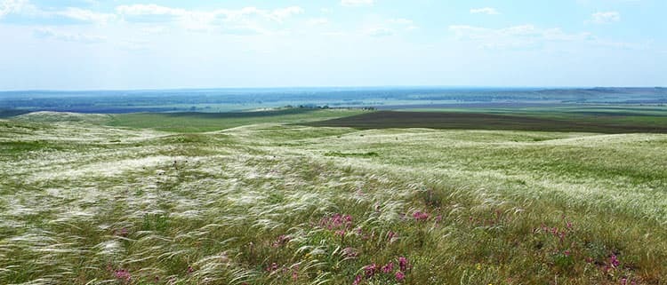 0300502s-64d1-750x321.jpg