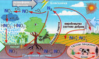 030051bz-1dc1-200x120.jpg