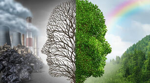 Nature and Environment