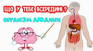 Діагностична робота "Організм людини''  3 клас