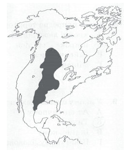 0300543m-2fc6-276x310.png