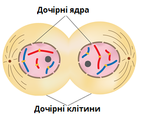 030054fx-28ef-289x236.png