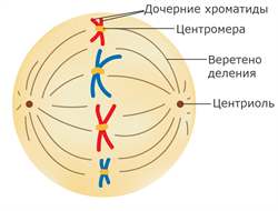 030054j0-30bd-250x190.png