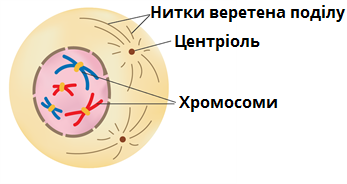 030054l7-63a8-347x184.png