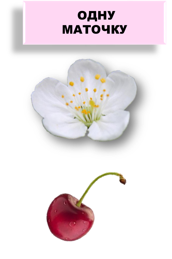 030058gp-d918-549x827.png
