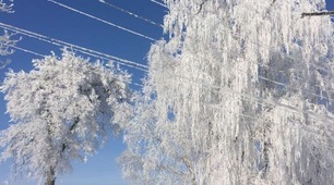 Презентація-інтерактив "Північна Америка" 7 клас