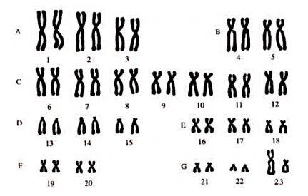 03005a88-3adf-431x275.png