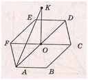 03005cz8-5656-155x142.png