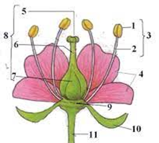 03005etu-594d-319x288.png