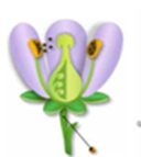 03005f72-45fa-128x143.png