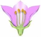 03005f7c-2f4b-135x121.png