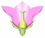 03005f7h-9720-148x126.png