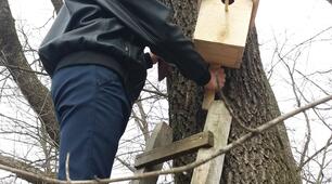 «Посвята в юні лісівники»
