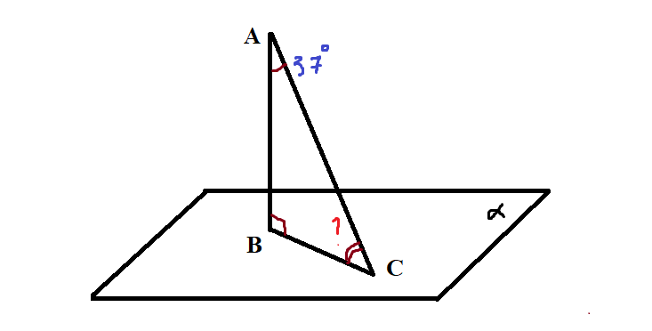 03005gut-318b-733x372.png