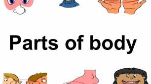 Parts of body