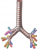 03005im3-cb0a-135x167.png