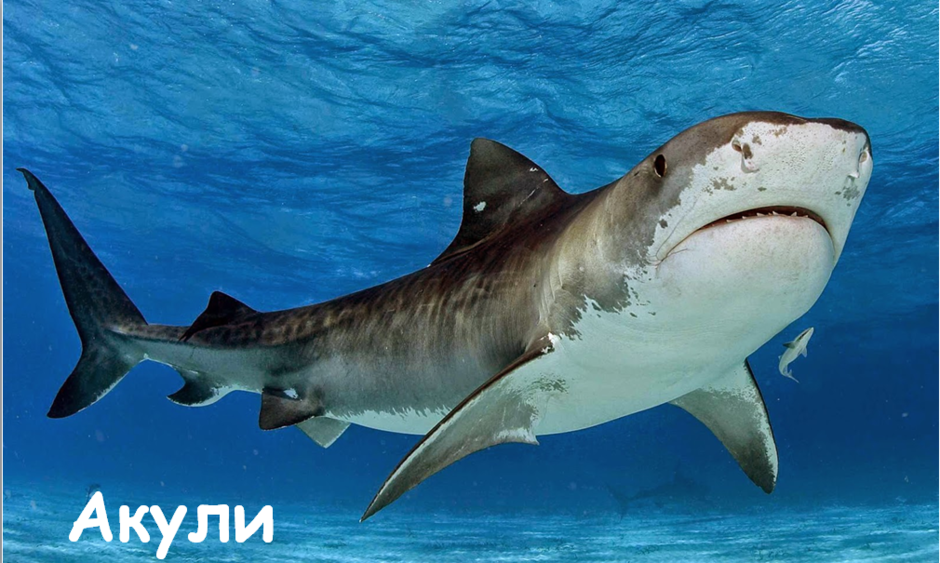 03005l63-5ea2-940x563.png