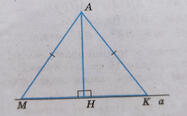 03005ylw-736c-187x116.jpg