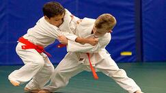 Learn Judo для Андроид - скачать APK