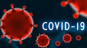 Урок з англійської мови у 7 класі на тему: Diseases, symptoms. Treatment. Coronavirus – problem of XXI century.
