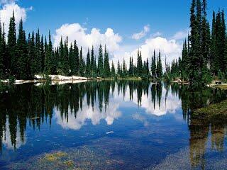 03006247-aad1-320x240.jpg