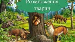 Розмноження тварин