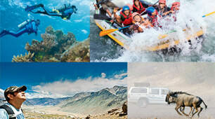 Full Blast 2 Unit 3 Adventure (vocabulary)