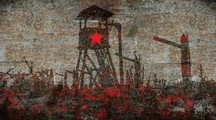  Статус УСРР на початку 1920 рр.