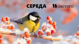НАВЧАЛЬНІ ЗАВДАННЯ НА 16 ЛЮТОГО